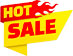 Hot Sale Icon