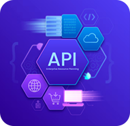 API Icon