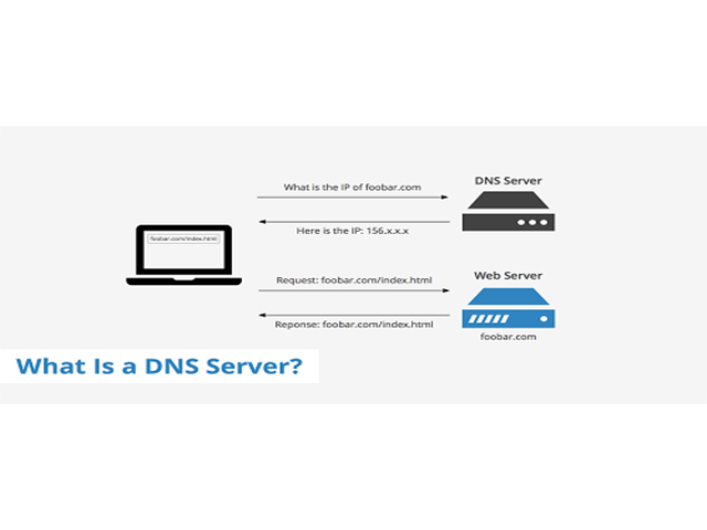 Preferred DNS server là gì? Khác gì so với DNS server?