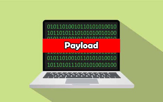 Các loại định dạng payload thông dụng trong API?
