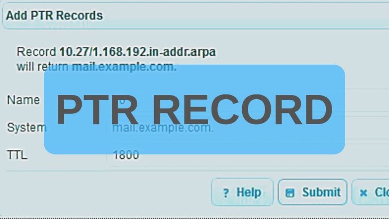 PTR là gì? Cách trỏ bản ghi PTR Record cho IP Server/VPS