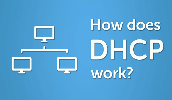 DHCP hoạt động như thế nào?