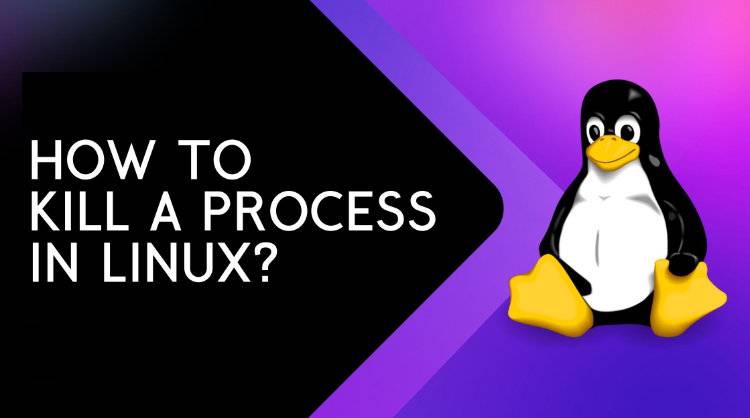 Hướng dẫn kill process trong Linux cực nhanh và đơn giản