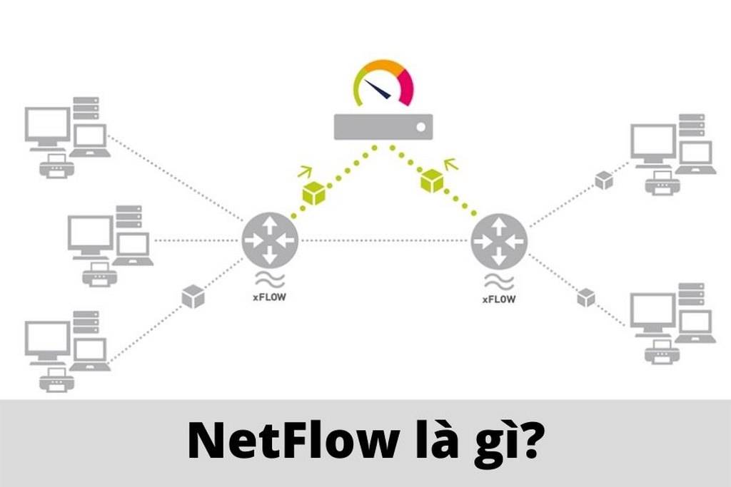 NetFlow là gì? Thành phần và ứng dụng của NetFlow