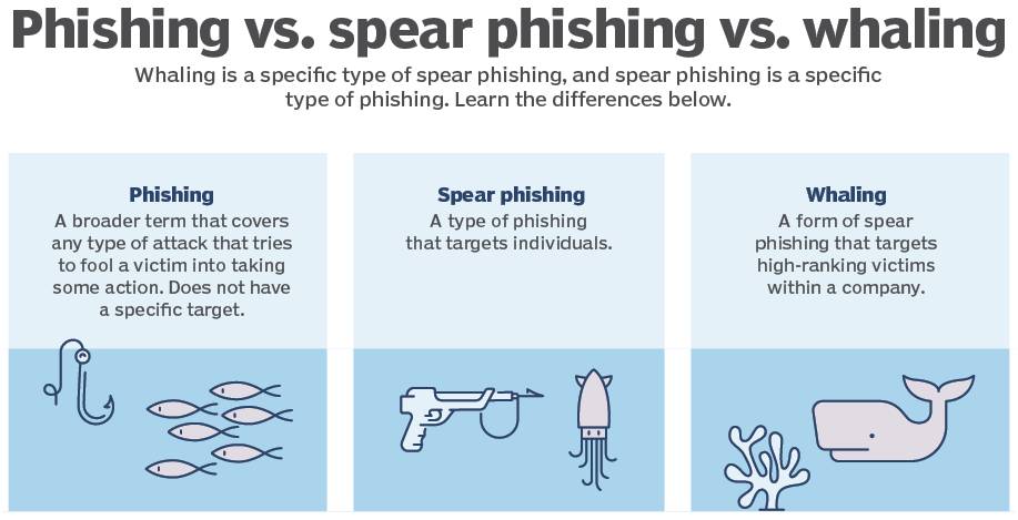 Phishing, Spear Phishing và Whaling