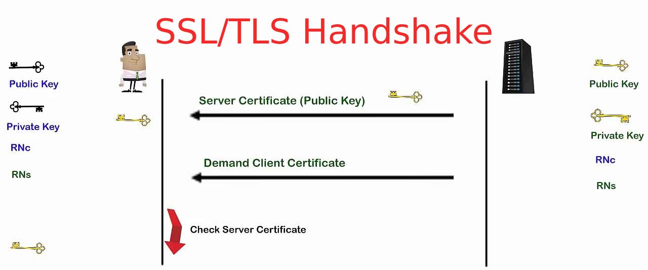 Tìm hiểu kiến thức cơ bản về SSL/TLS Handshake