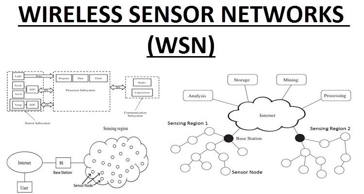 Wireless Sensor Network (WSN) là gì? Đặc điểm và ứng dụng