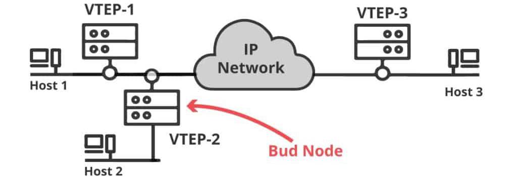 VTEP + IP Transport: Node Bud