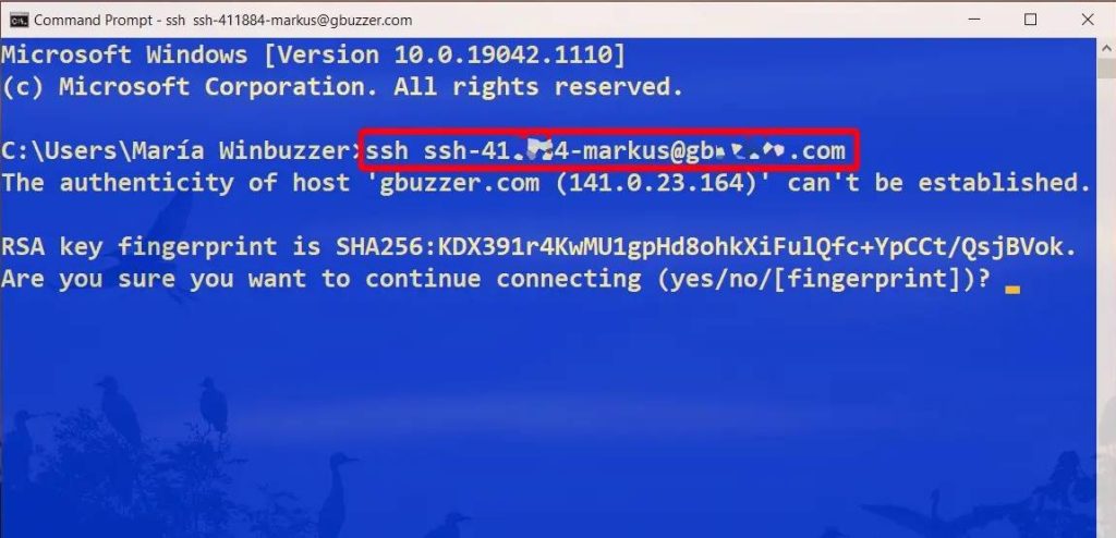 H ng D n K ch Ho t V S D ng L nh SSH Windows BKHOST
