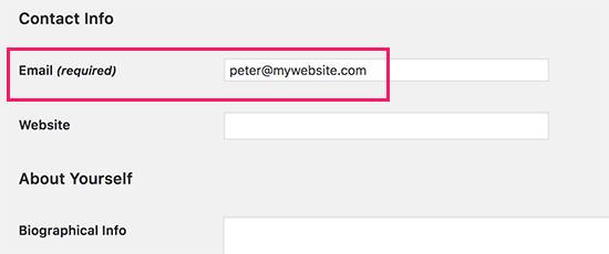 Thay doi Email Admin trong Website WordPress thong qua Admin-4