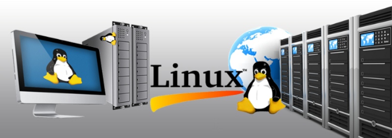 Hosting Linux là gì? Lợi ích của nó cho doanh nghiệp của bạn?
