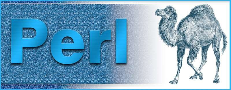 Perl là gì? Tìm hiểu về ngôn ngữ lập trình đa mục đích và ứng dụng
