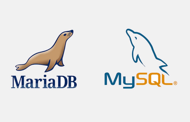 So sánh giữa MariaDB và MySQL: Hiểu rõ sự khác biệt