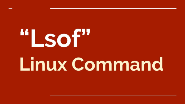 Hướng dẫn sử dụng lệnh lsof trên Linux